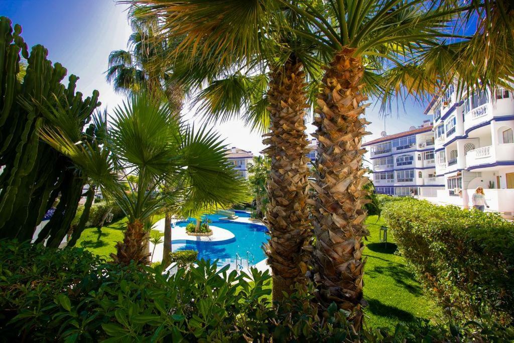 Апартаменты В Парковой Зоне С Видом На Море La Mata  Exterior foto